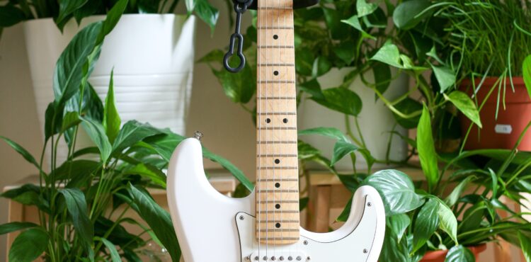WHAT ARE THE DIFFERENT TYPES OF GUITARS AVAILABLE AND WHICH ONE WOULD BE THE MOST SUITABLE FOR A BEGINNER?